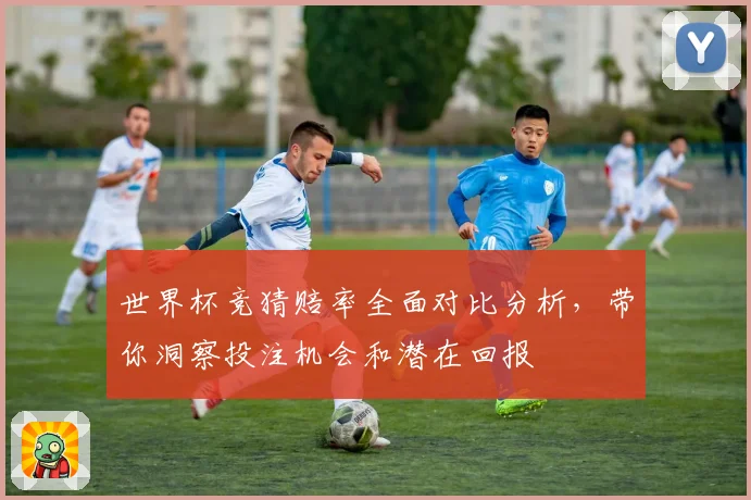 世界杯竞猜赔率全面对比分析，带你洞察投注机会和潜在回报
