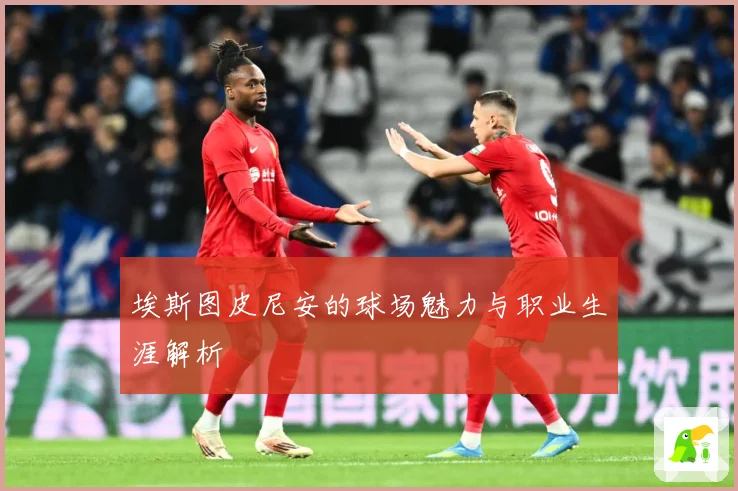 埃斯图皮尼安的球场魅力与职业生涯解析