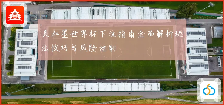 美加墨世界杯下注指南全面解析玩法技巧与风险控制