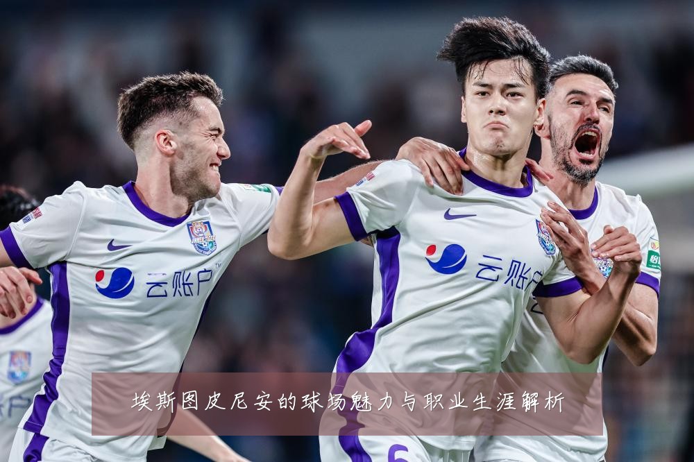 埃斯图皮尼安的球场魅力与职业生涯解析